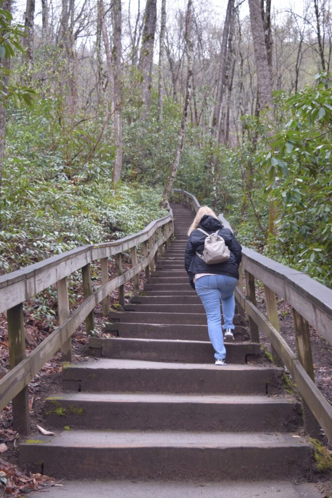 photo of lady walking a trail