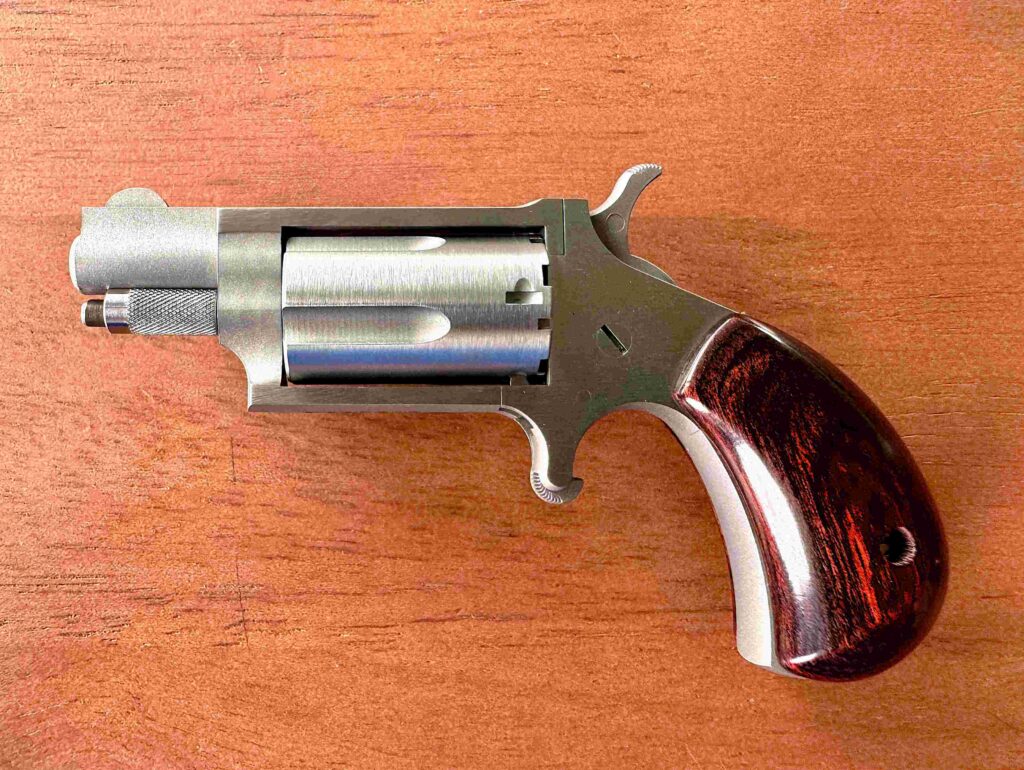 Left view of the .22 revolver